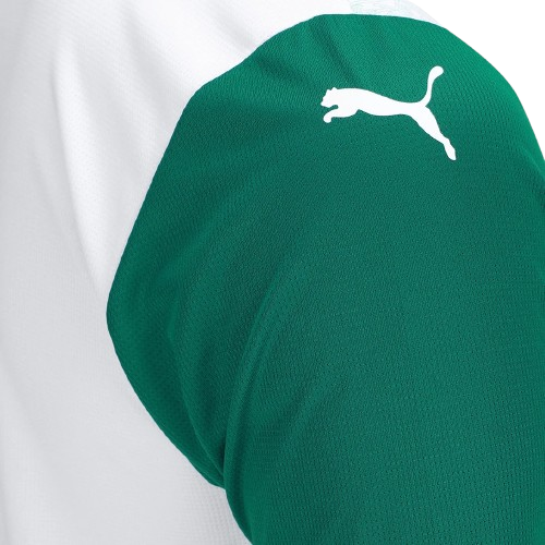 Camisa Palmeiras Away 25/26 - Puma Torcedor Masculina